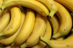 bananas-3700718_1920 (1)
